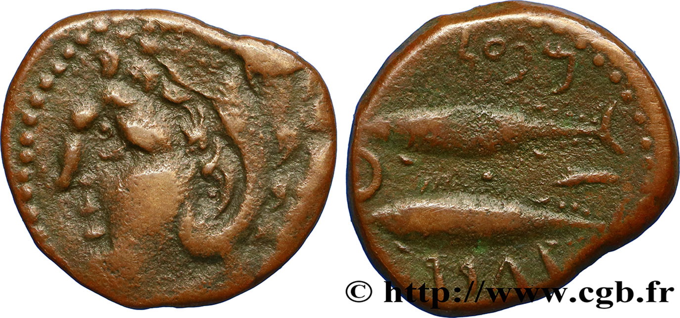 Bronze (½ unité) ibérique pour la ville de Gadès/Cadix ... Bgr_407220